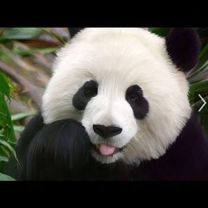 Meet your Posher, Gale